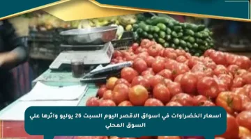 أسعار الخضراوات في أسواق الأقصر اليوم السبت 26 يوليو وأثرها على السوق المحلي